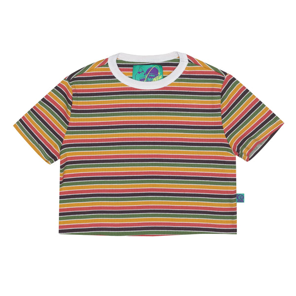 Striped Kaleidoscope Crop